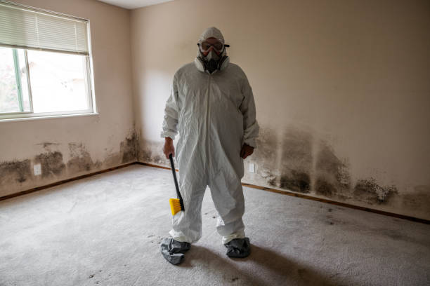 Best Mold Prevention Services  in Urania, LA